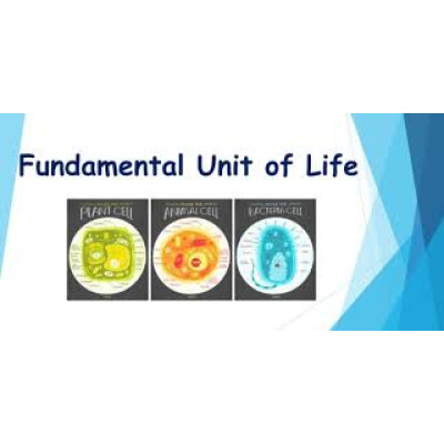 Fundamental Unit Of Life